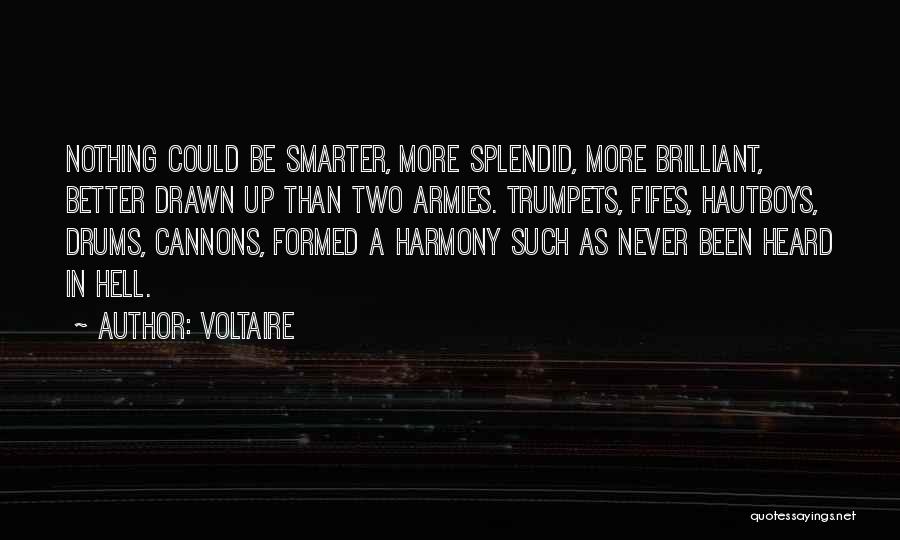 Cannons Quotes By Voltaire