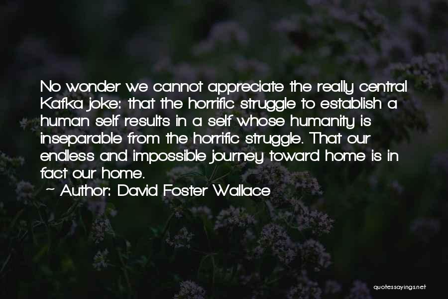 Cannot Appreciate Quotes By David Foster Wallace