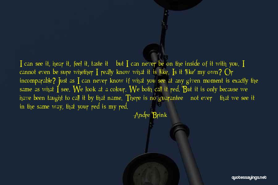 Cannot Be Taught Quotes By Andre Brink Cannot Be Taught Quotes By Andre Brink