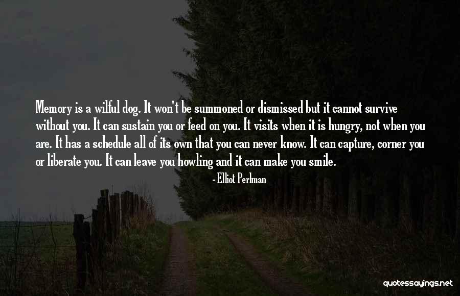Cannot Be Without You Quotes By Elliot Perlman Cannot Be Without You Quotes By Elliot Perlman