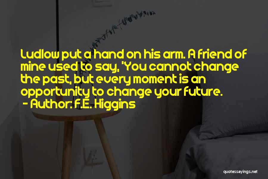 Cannot Change The Past Quotes By F.E. Higgins
