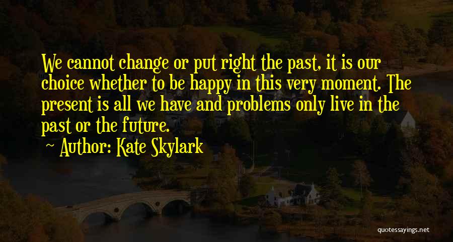 Cannot Change The Past Quotes By Kate Skylark