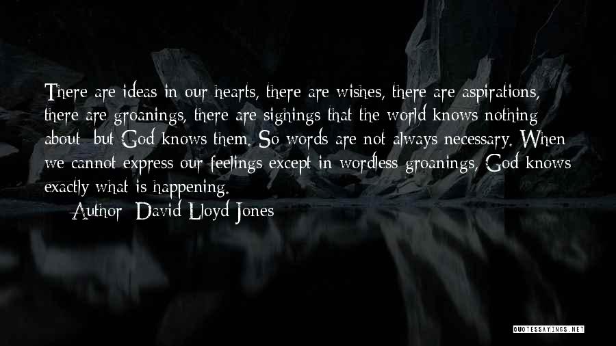 Cannot Express Quotes By David Lloyd-Jones