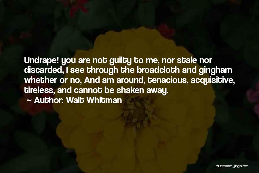 Cannot See Quotes By Walt Whitman