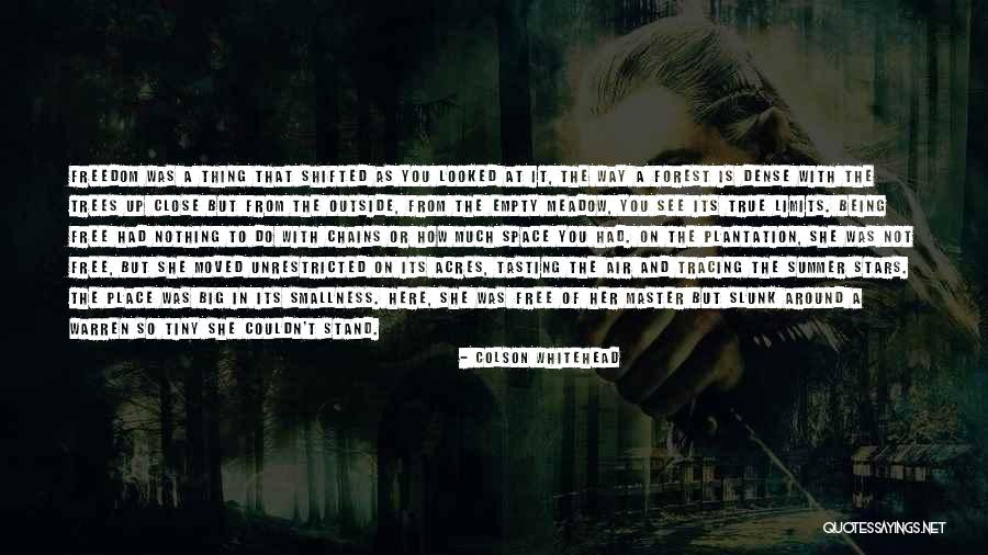 Cannot See The Forest For The Trees Quotes By Colson Whitehead Cannot See The Forest For The Trees Quotes By Colson Whitehead