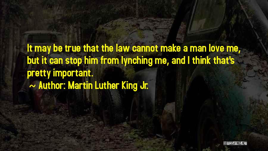 Cannot Stop True Love Quotes By Martin Luther King Jr.