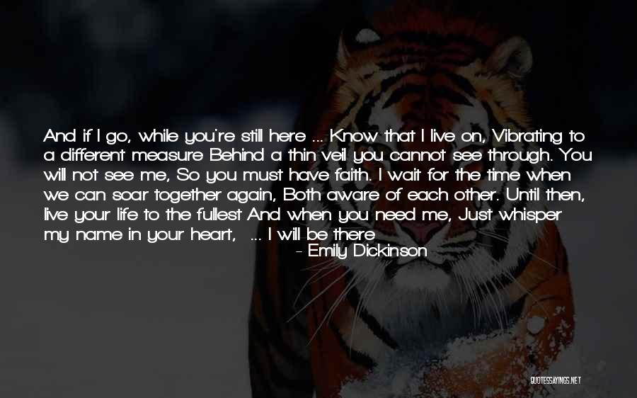 Cannot Wait To See You Quotes By Emily Dickinson