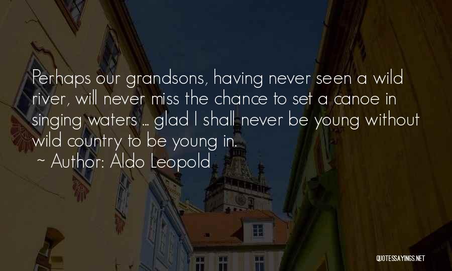 Canoe Quotes By Aldo Leopold