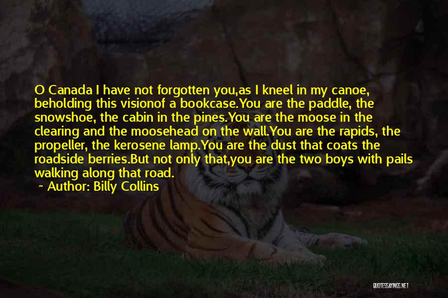 Canoe Quotes By Billy Collins