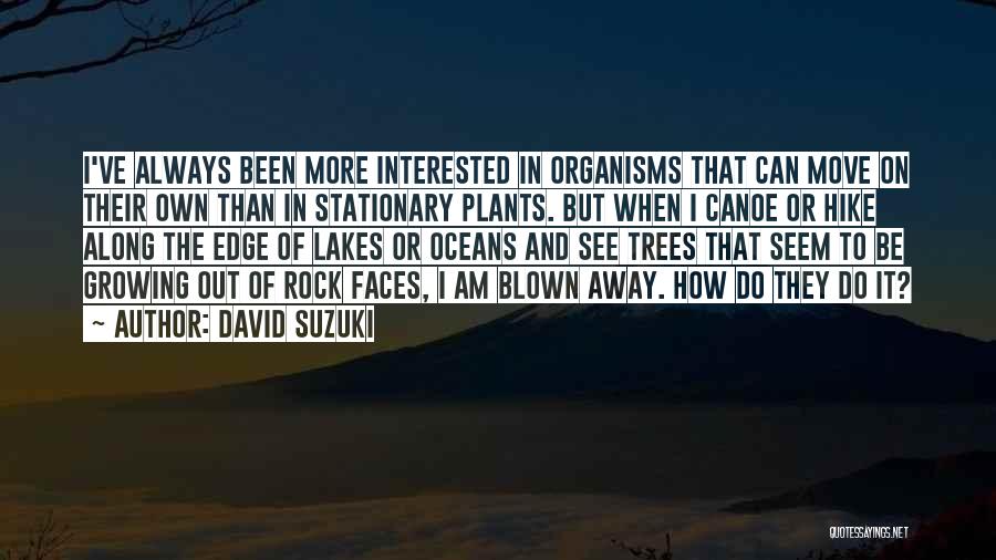 Canoe Quotes By David Suzuki