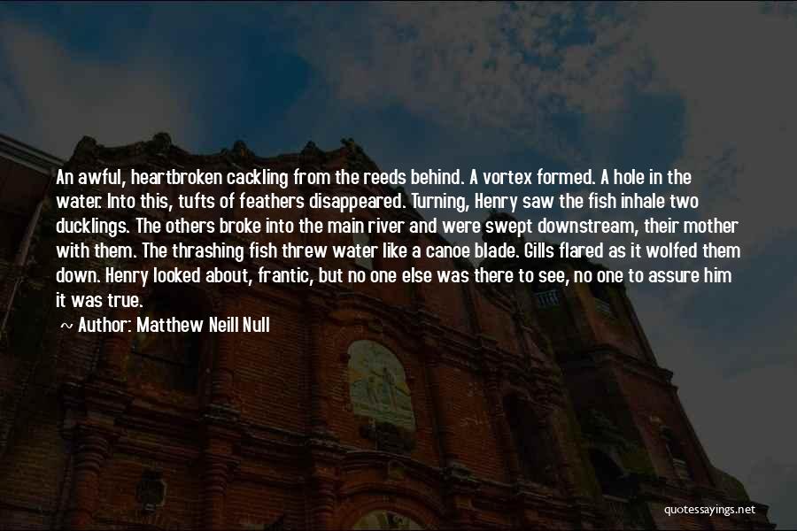 Canoe Quotes By Matthew Neill Null