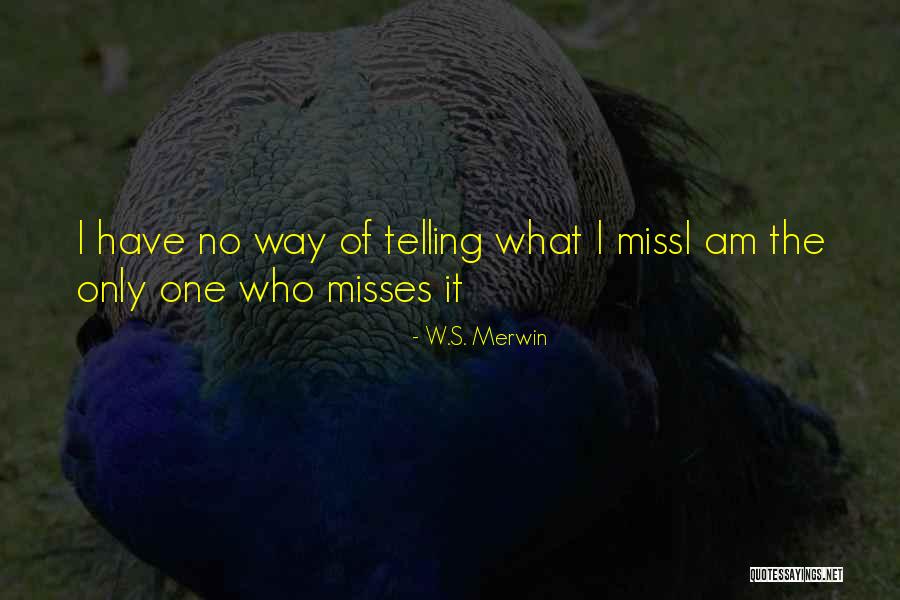 Canonicos Quotes By W.S. Merwin Canonicos Quotes By W.S. Merwin