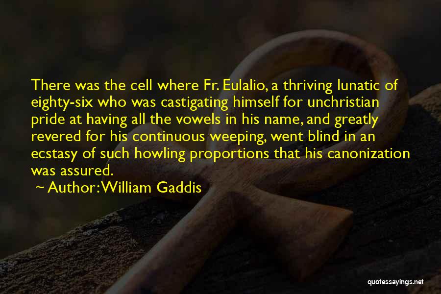 Canonization Quotes By William Gaddis