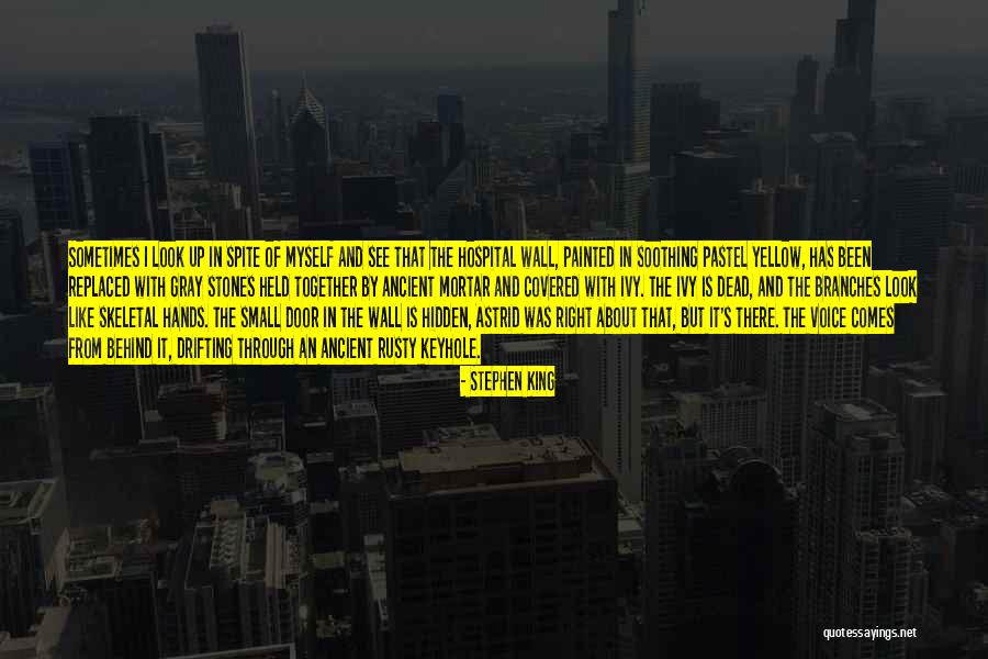 Cansat Azerbaijan Quotes By Stephen King Cansat Azerbaijan Quotes By Stephen King