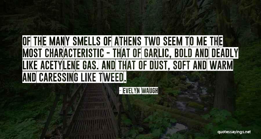 Cansativo Quotes By Evelyn Waugh Cansativo Quotes By Evelyn Waugh