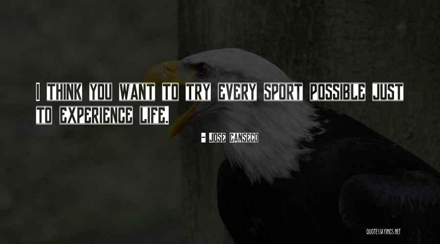 Canseco Jose Quotes By Jose Canseco Canseco Jose Quotes By Jose Canseco