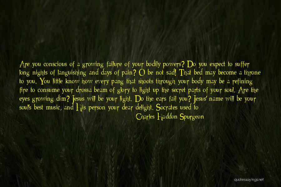 Can't Be Happier Quotes By Charles Haddon Spurgeon