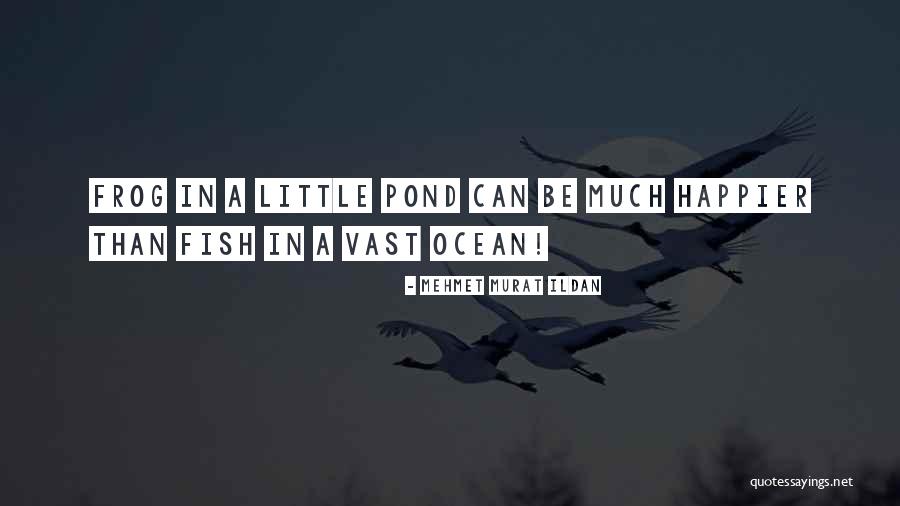 Can't Be Happier Quotes By Mehmet Murat Ildan Can't Be Happier Quotes By Mehmet Murat Ildan