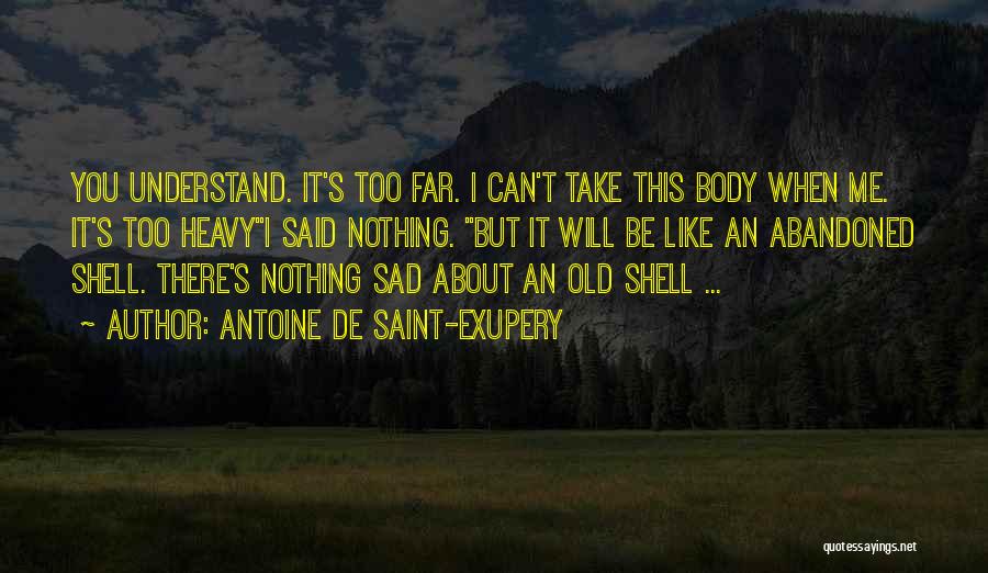 Can't Be Me Quotes By Antoine De Saint-Exupery