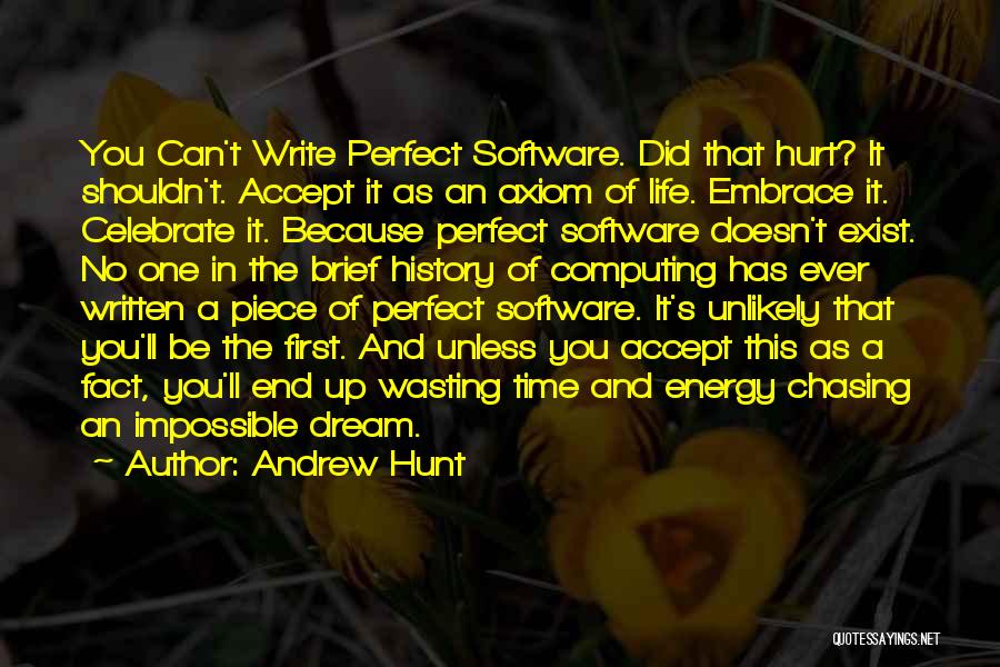 Can't Be Perfect Quotes By Andrew Hunt