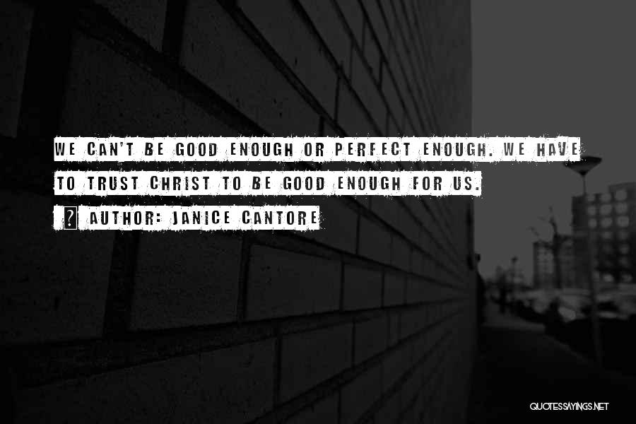 Can't Be Perfect Quotes By Janice Cantore