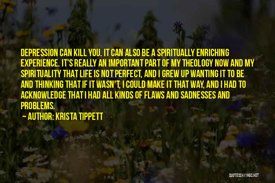 Can't Be Perfect Quotes By Krista Tippett
