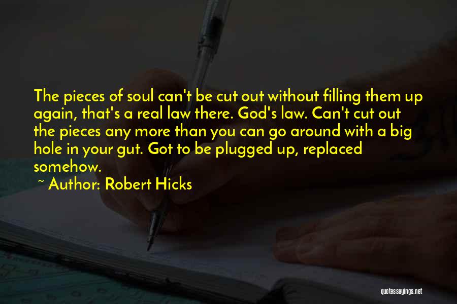 Can't Be Replaced Quotes By Robert Hicks