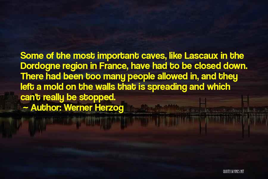 Can't Be Stopped Quotes By Werner Herzog