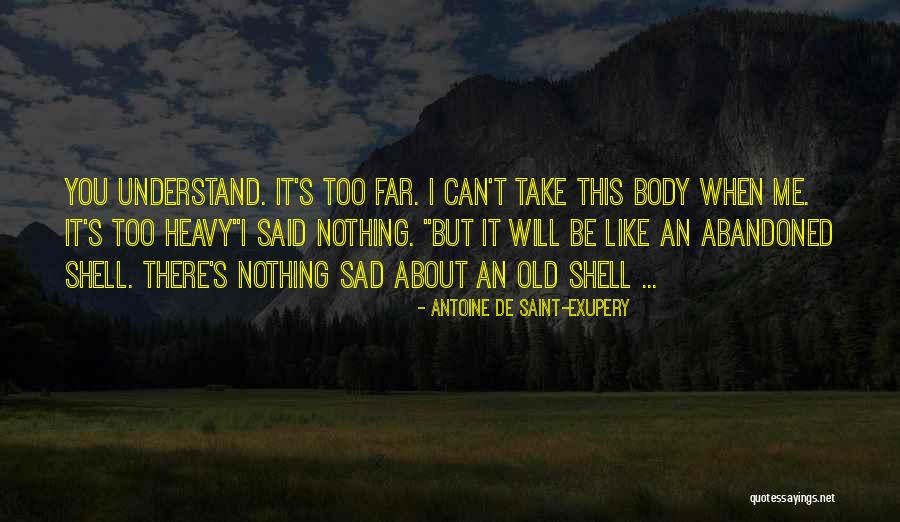 Can't Be There Quotes By Antoine De Saint-Exupery Can't Be There Quotes By Antoine De Saint-Exupery