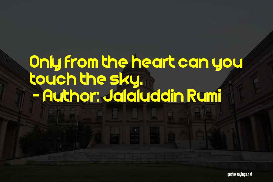 Cant Brawl In Front Of Ladies Quotes By Jalaluddin Rumi