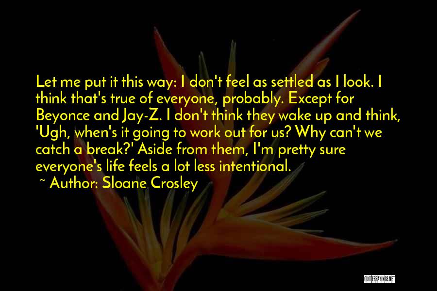 Can't Catch A Break In Life Quotes By Sloane Crosley