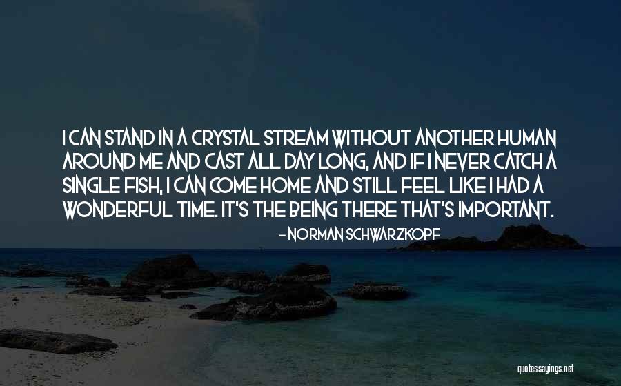 Can't Catch Fish Quotes By Norman Schwarzkopf Can't Catch Fish Quotes By Norman Schwarzkopf