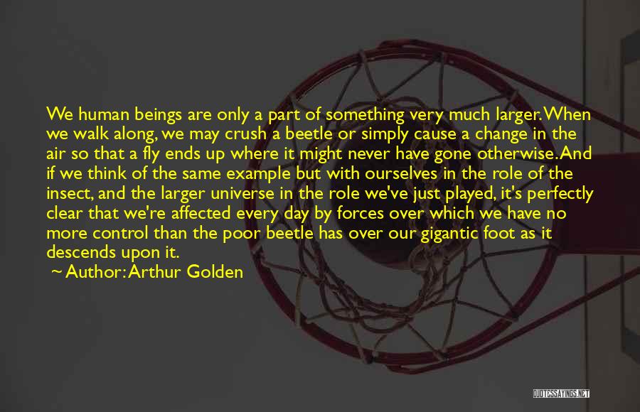 Can't Change Destiny Quotes By Arthur Golden