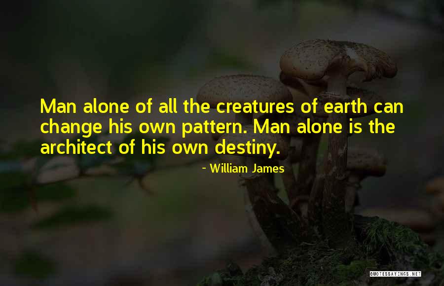 Can't Change Destiny Quotes By William James