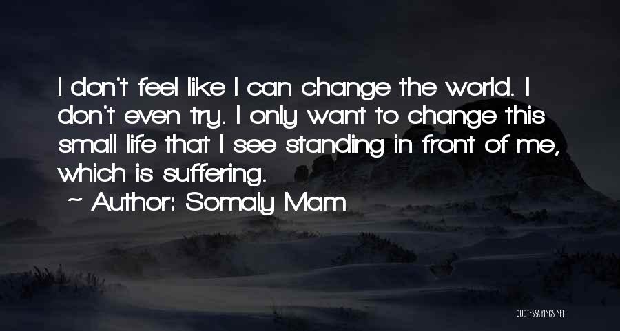 Can't Change The World Quotes By Somaly Mam