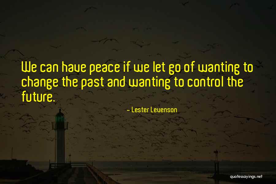 Can't Control The Future Quotes By Lester Levenson