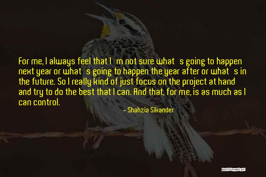 Can't Control The Future Quotes By Shahzia Sikander