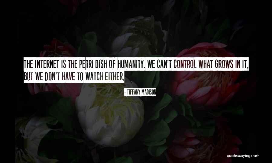 Can't Control The Future Quotes By Tiffany Madison