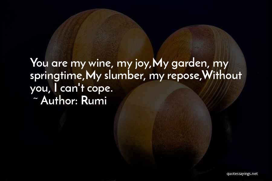 Can't Cope Quotes By Rumi