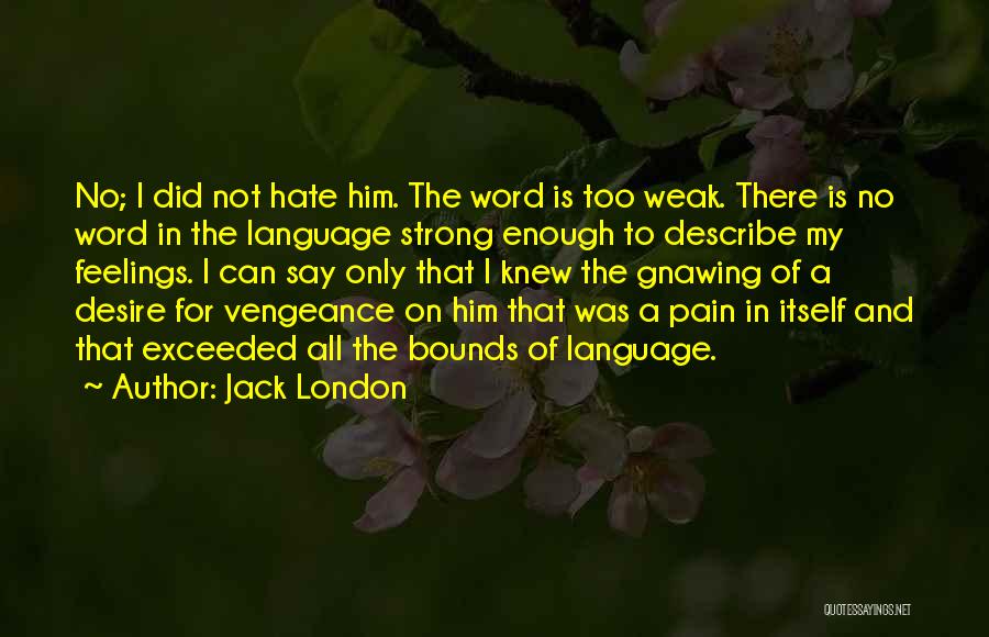 Can't Describe My Feelings Quotes By Jack London