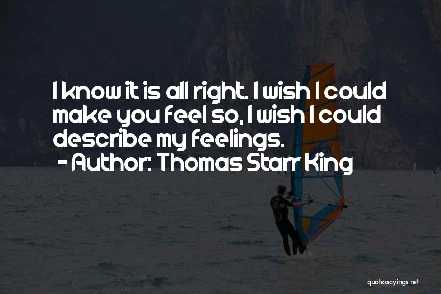 Can't Describe My Feelings Quotes By Thomas Starr King