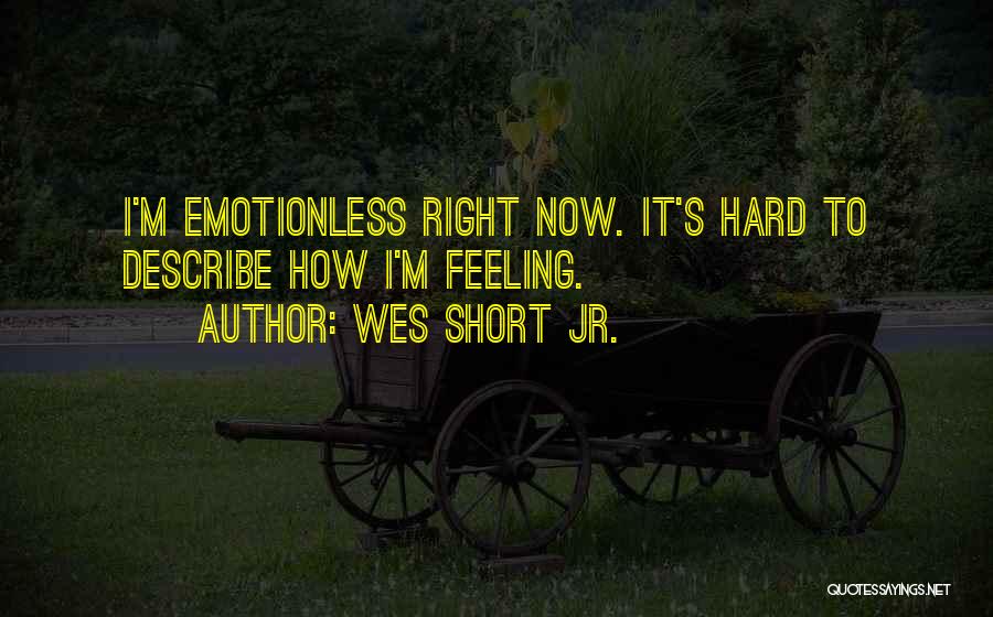 Can't Describe My Feelings Quotes By Wes Short Jr.