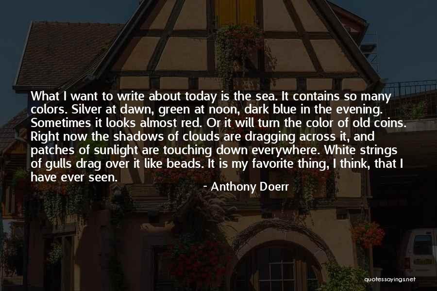 Can't Drag Me Down Quotes By Anthony Doerr