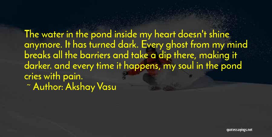 Can't Even Cry Anymore Quotes By Akshay Vasu