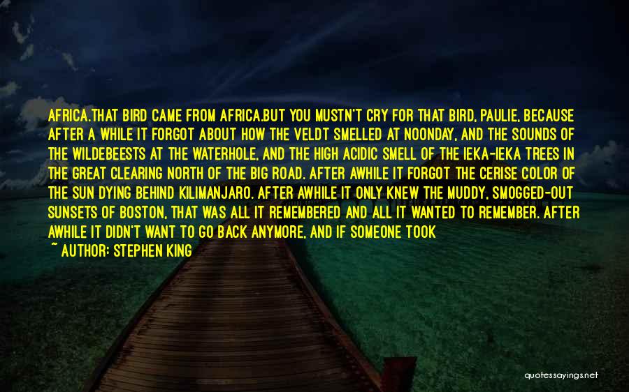 Can't Even Cry Anymore Quotes By Stephen King