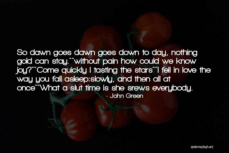 Can't Fall Asleep Love Quotes By John Green