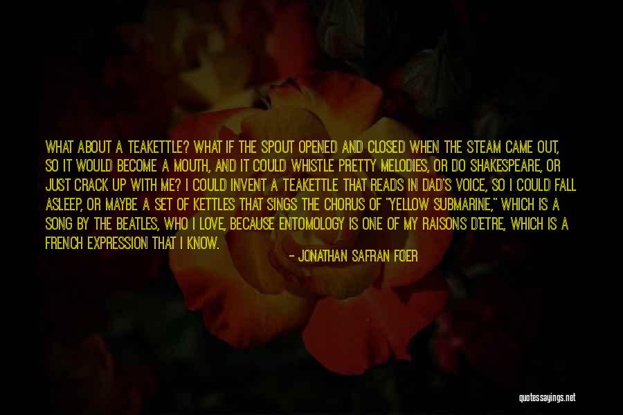 Can't Fall Asleep Love Quotes By Jonathan Safran Foer