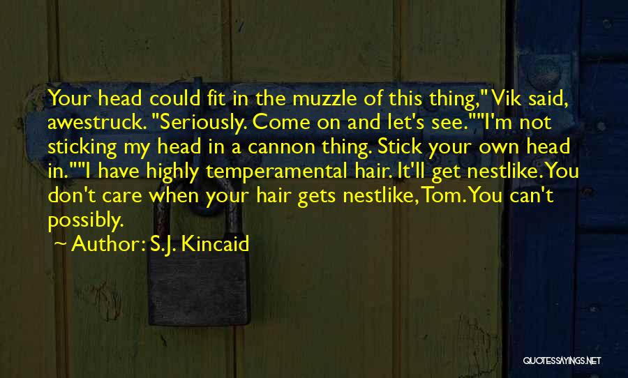 Can't Fit In Quotes By S.J. Kincaid