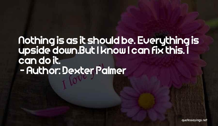 Can't Fix Everything Quotes By Dexter Palmer