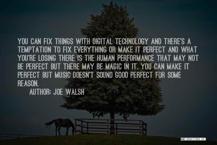 Can't Fix Everything Quotes By Joe Walsh